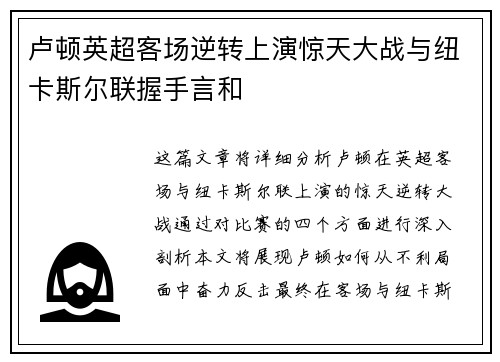 卢顿英超客场逆转上演惊天大战与纽卡斯尔联握手言和 卢顿英超客场逆转上演惊天大战与纽卡斯尔联握手言和
