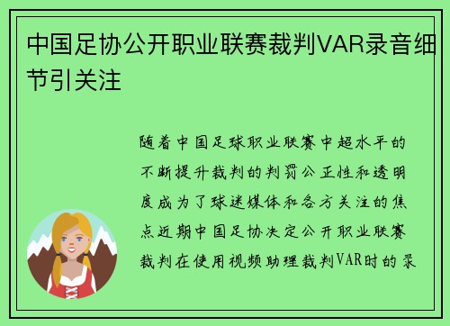 中国足协公开职业联赛裁判VAR录音细节引关注 中国足协公开职业联赛裁判VAR录音细节引关注